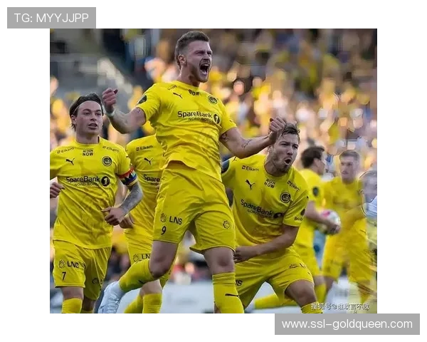 国际米兰客场挑战博德闪耀，挪威严寒天气成考验